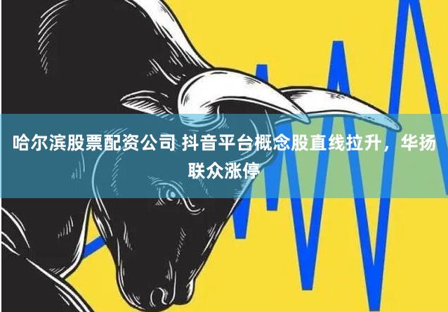 哈尔滨股票配资公司 抖音平台概念股直线拉升，华扬联众涨停