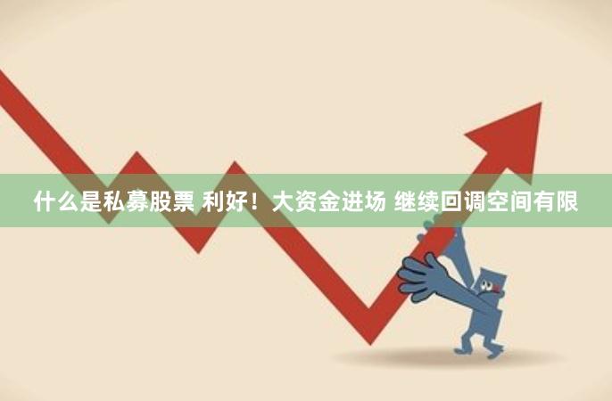 什么是私募股票 利好！大资金进场 继续回调空间有限