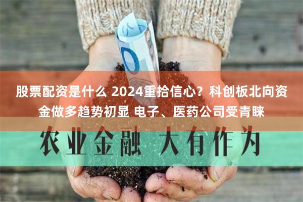 股票配资是什么 2024重拾信心？科创板北向资金做多趋势初显 电子、医药公司受青睐