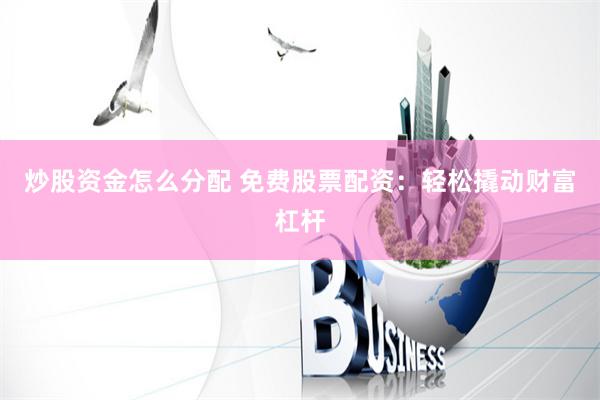 炒股资金怎么分配 免费股票配资：轻松撬动财富杠杆